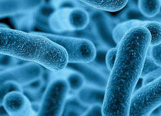 Legionella Awareness course