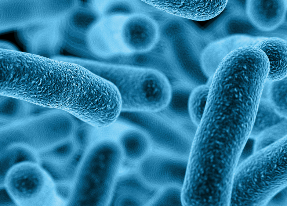 Legionella Awareness course